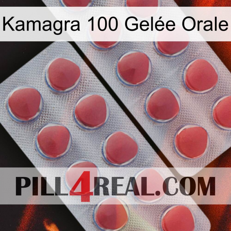 Kamagra 100 Gelée Orale 19